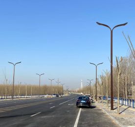 山东聊城科技街、康泰路文化景观LED路灯项目顺利竣工交付